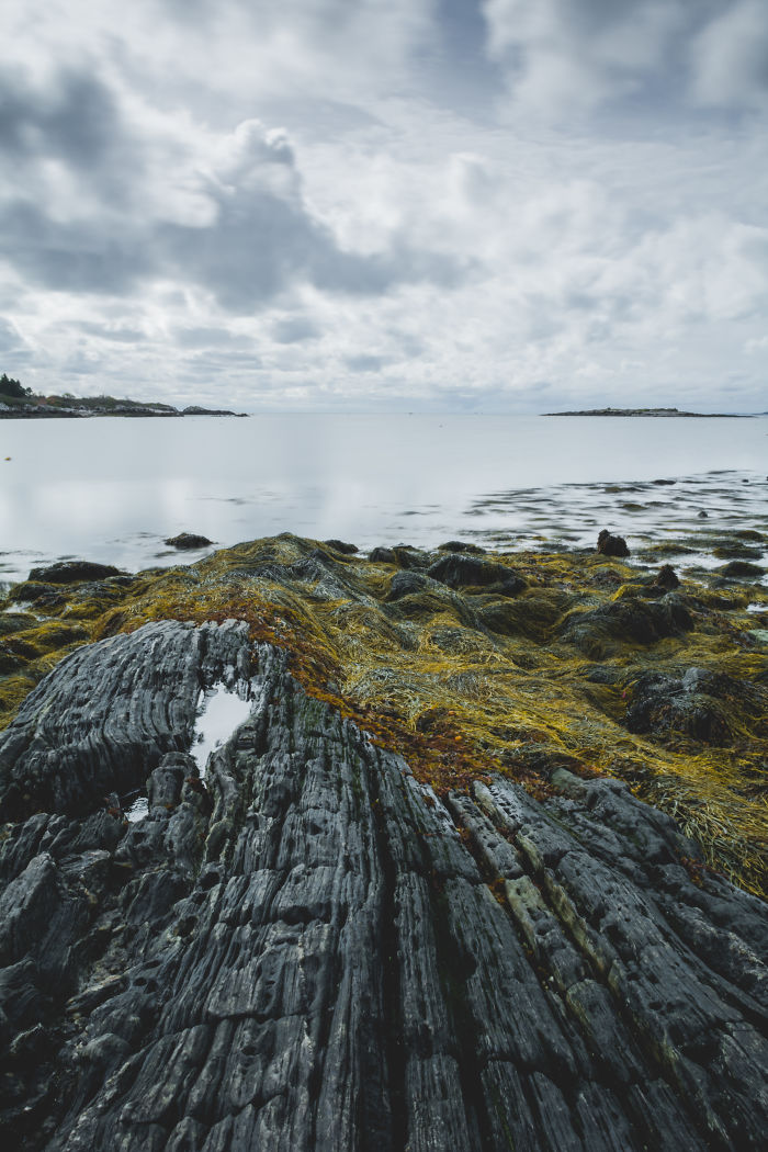 I Capture The Essence Of Maine