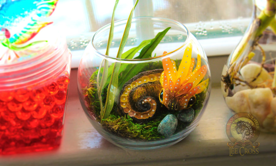 Aquarium Baby Dragon