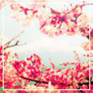 bornand4gotten avatar