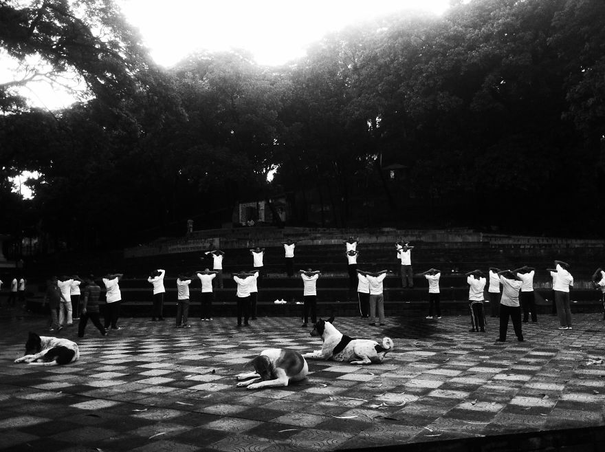 Excerpt Of Everyday: My Photography Journey With Iphone 4