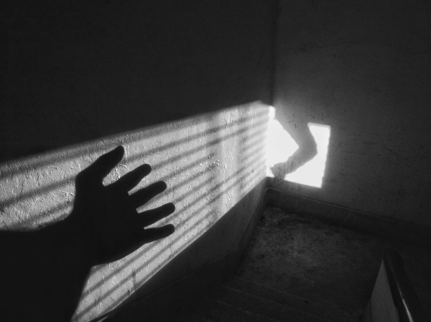 Excerpt Of Everyday: My Photography Journey With Iphone 4