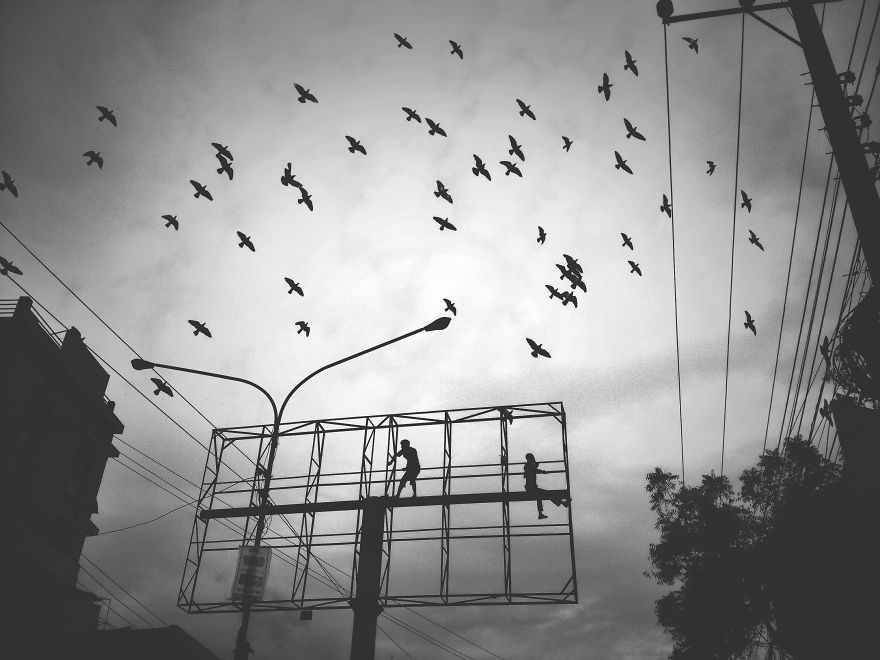 Excerpt Of Everyday: My Photography Journey With Iphone 4