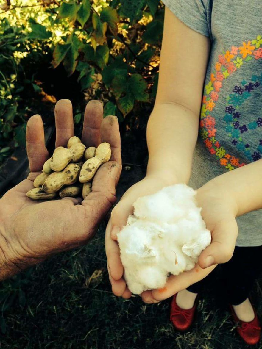 Random Shots (phone Cam)