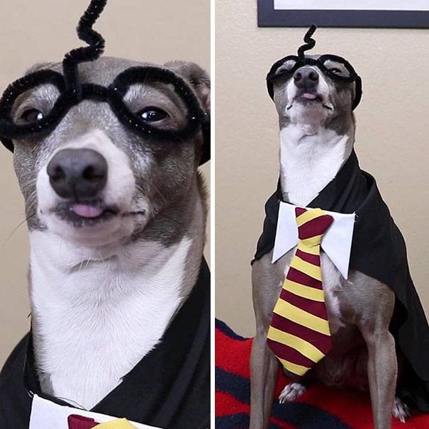 I Think He Likes Being A Wizard