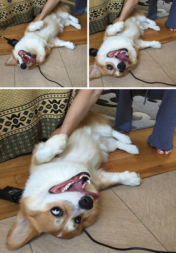 I Don’t Even Know What Kind Of Faces These Are