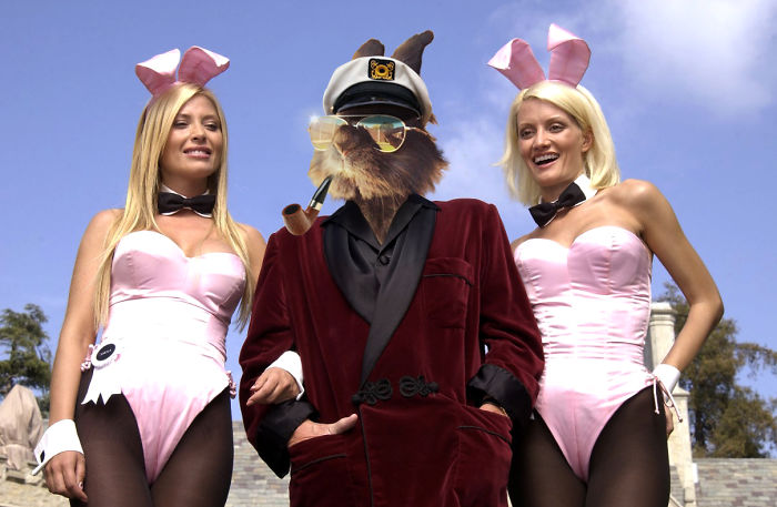 Hef A Bunny Ball! Oh Yeah!