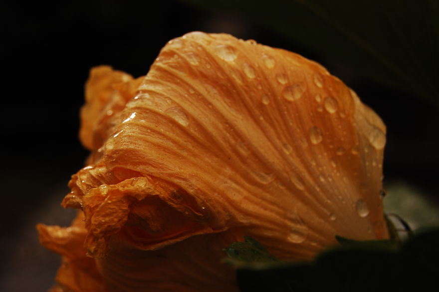 How I Discovered The Art Of Magic Rain