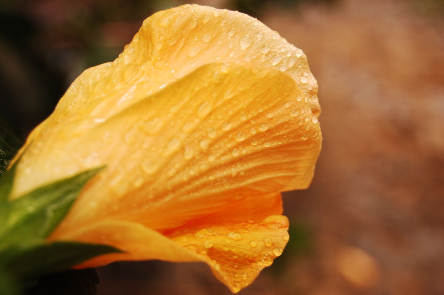 How I Discovered The Art Of Magic Rain