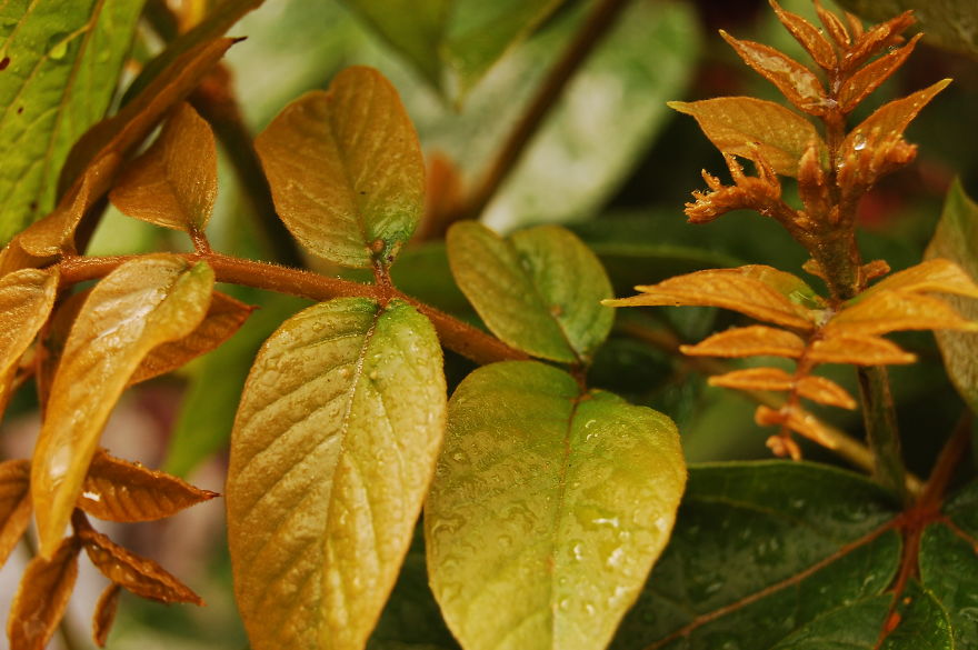 How I Discovered The Art Of Magic Rain