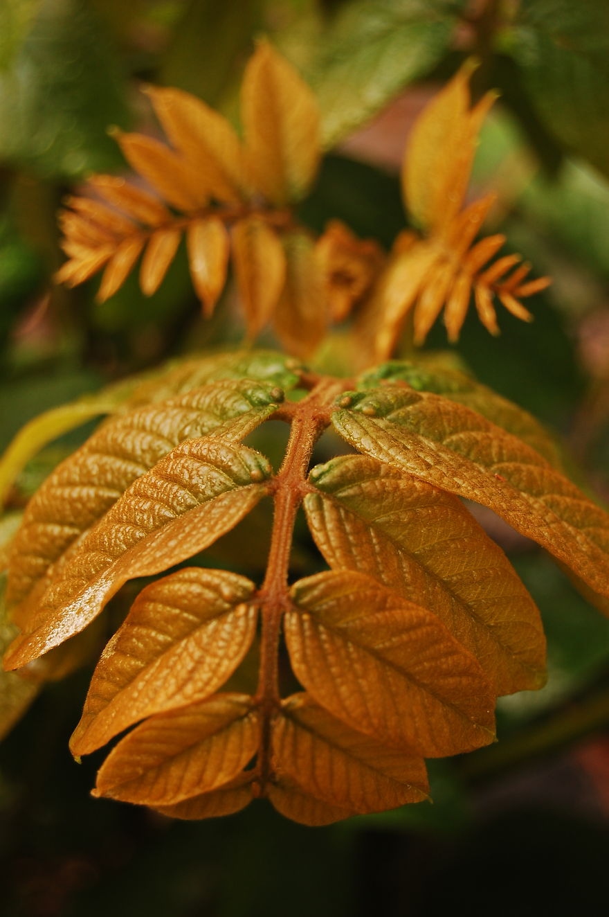 How I Discovered The Art Of Magic Rain