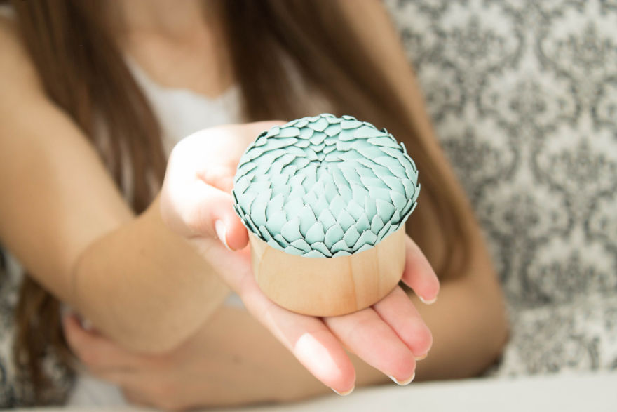 I Created A Beautiful Home Decor Using Wood And Snail Shells