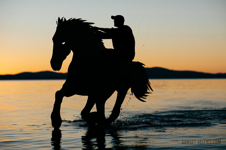 I Turn Simple Cardboard Cutouts Into Magical Horse Silhouettes