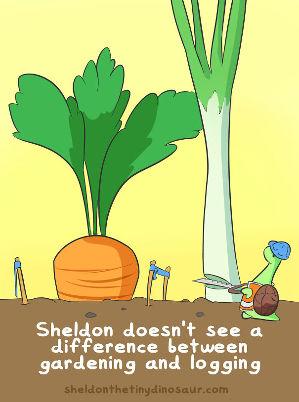 I Did Not Create Sheldon But I Love Him