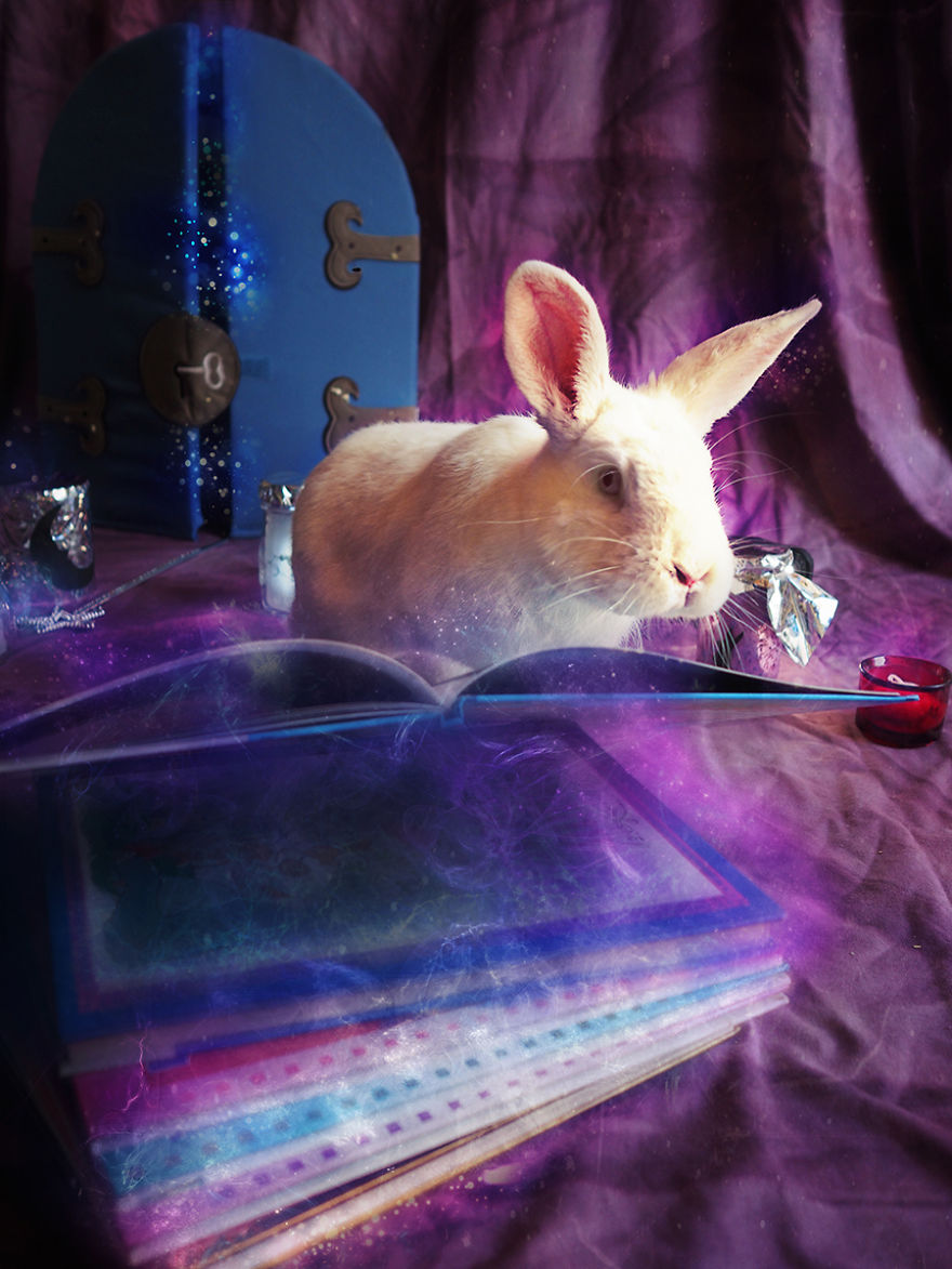 Il Carota In "The Enchantment Of Adoption"