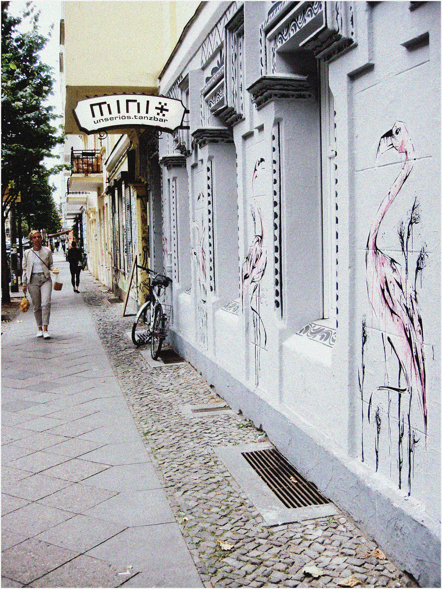 I Spent 5 Days Painting Flamingos On Buildings