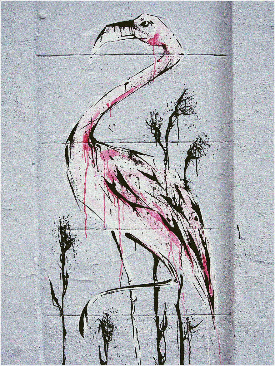 I Spent 5 Days Painting Flamingos On Buildings
