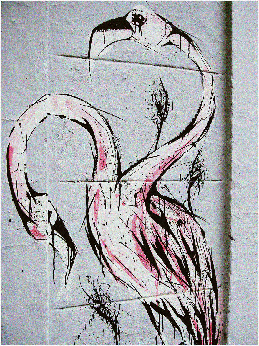 I Spent 5 Days Painting Flamingos On Buildings