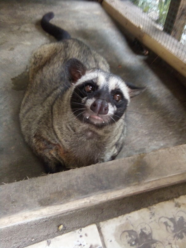 When You're Realizing You Ate Too Many French Fries