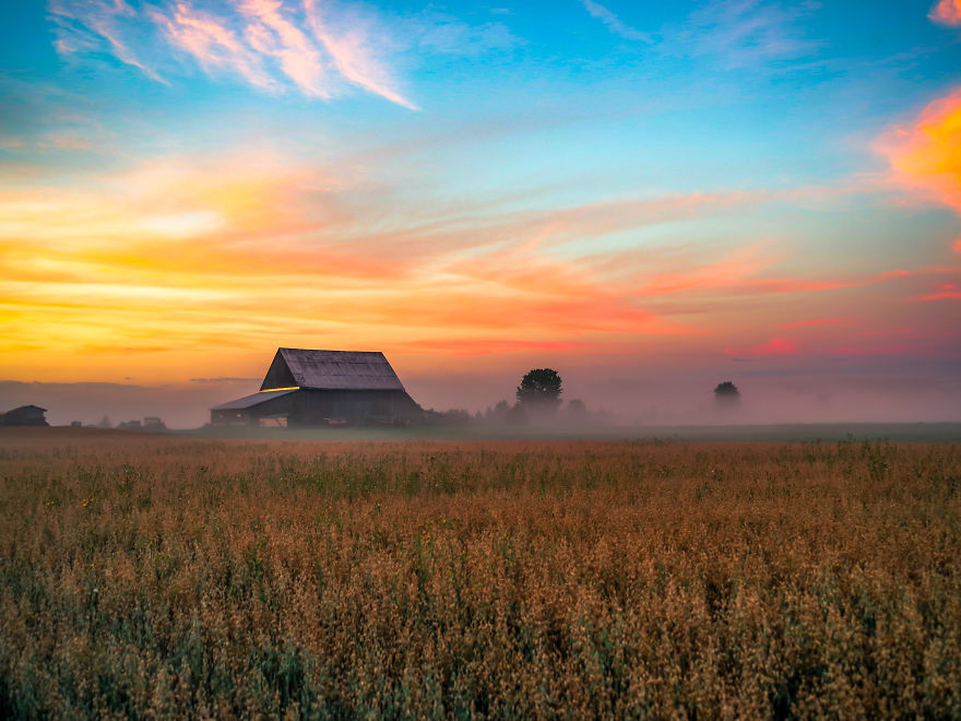 The Magic Of Fall Vibrancy The Magic Of Fall Vibrancy