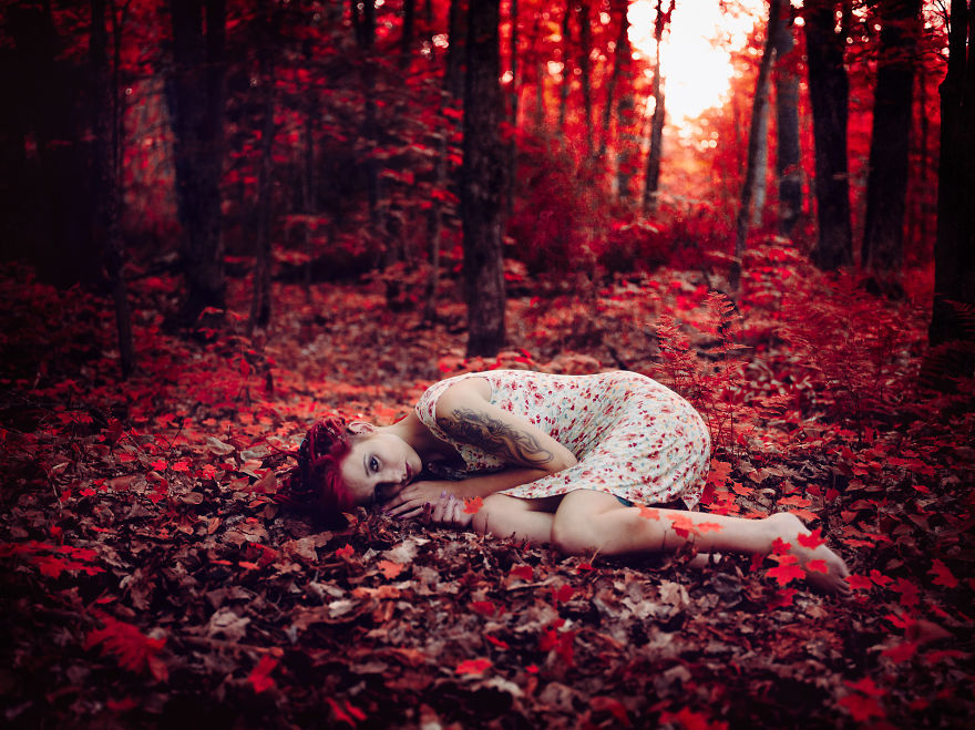 The Magic Of Fall Vibrancy The Magic Of Fall Vibrancy