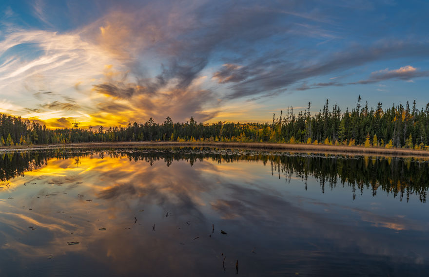 The Magic Of Fall Vibrancy The Magic Of Fall Vibrancy