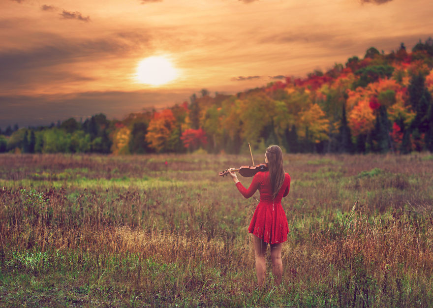 The Magic Of Fall Vibrancy The Magic Of Fall Vibrancy