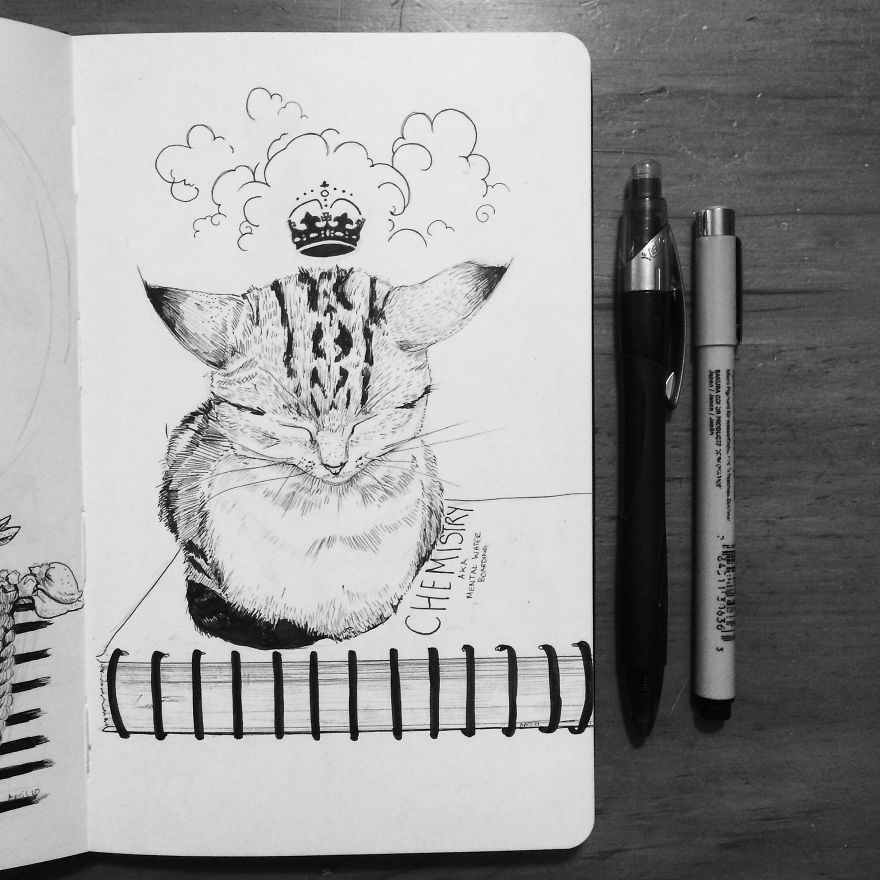 Everybody Wants To Be A Cat