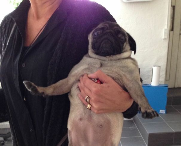 Well, This Is Slightly Humiliating.