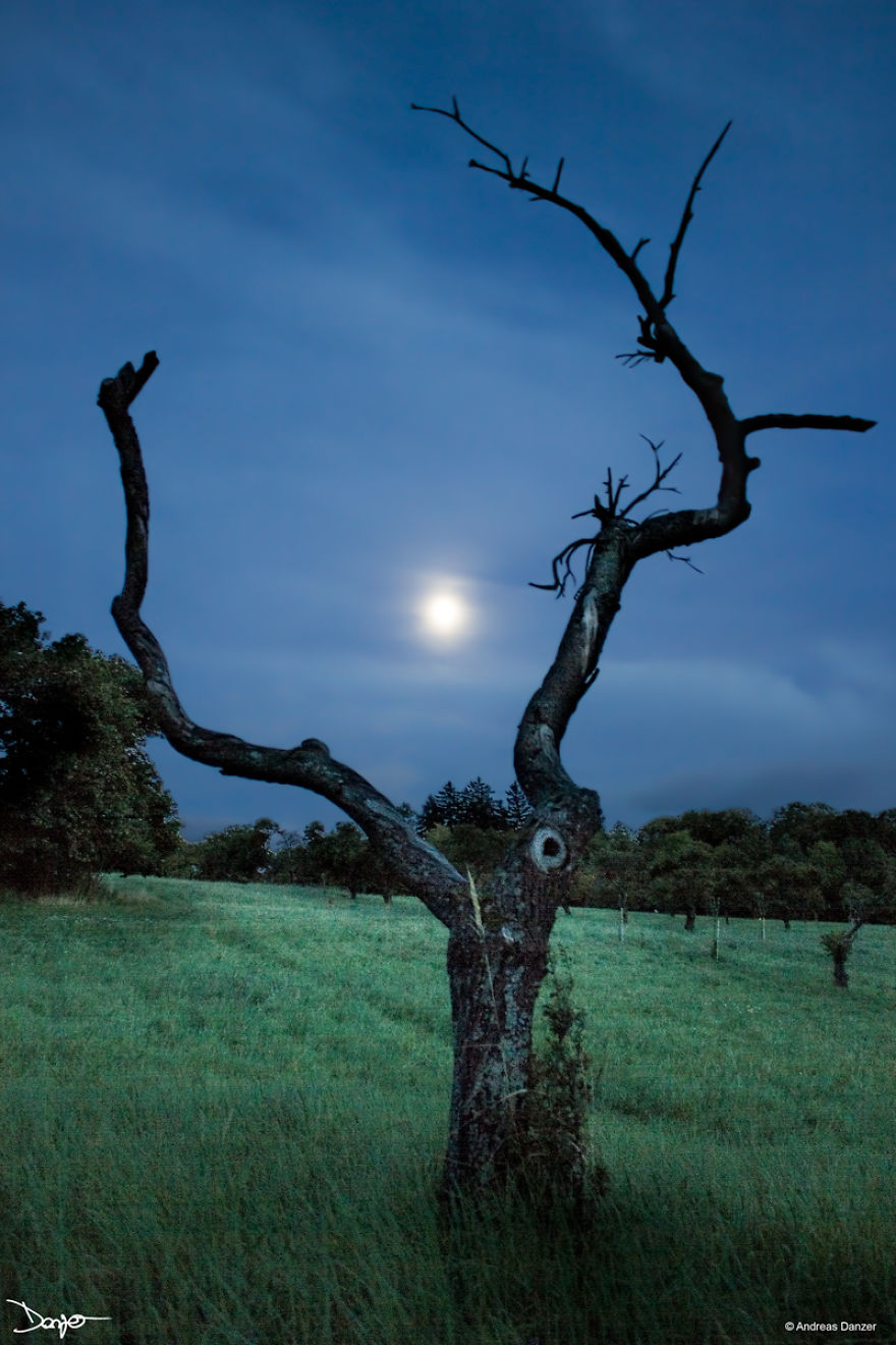 Photography - My Therapy