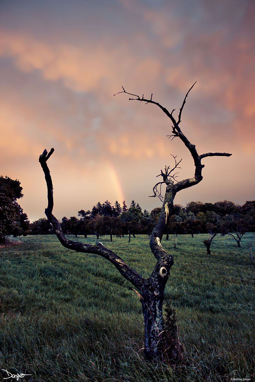 Photography - My Therapy