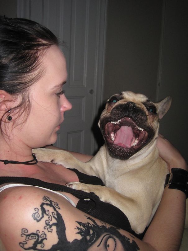 Happy Franchise Yawning :)