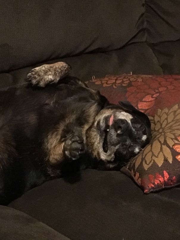 She Sleeps Like This.