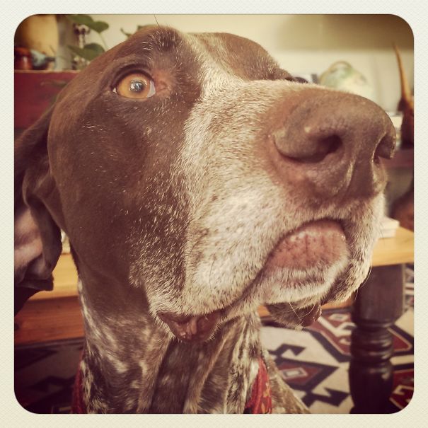 German Beauties With A Lip