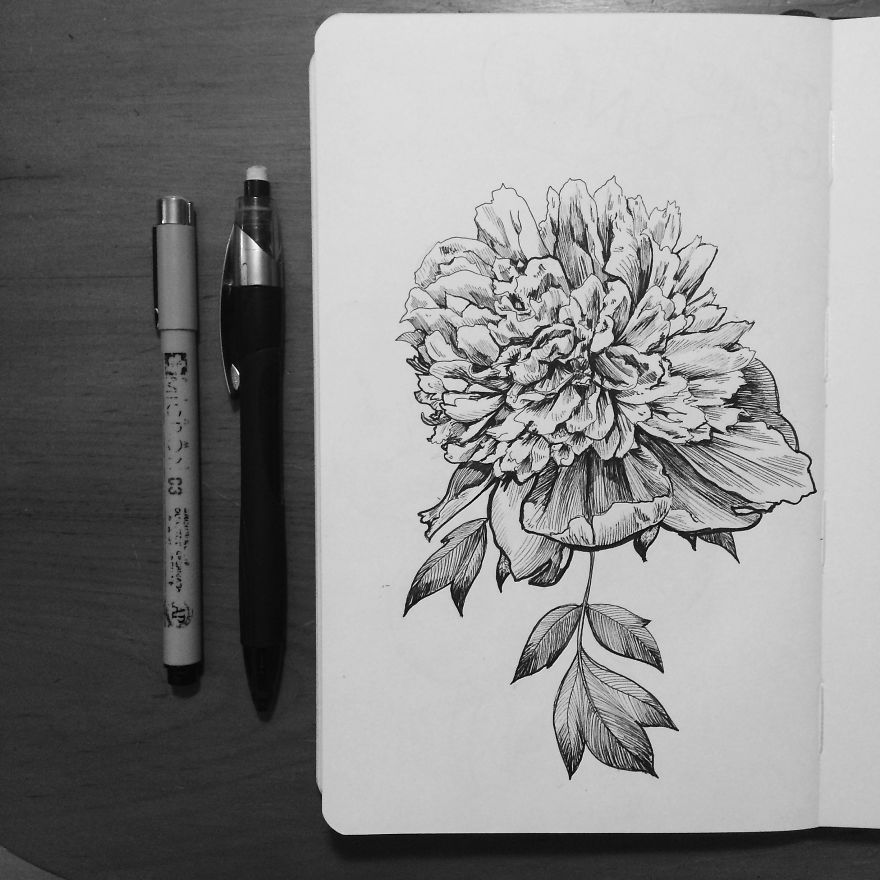 Another Beloved Peony