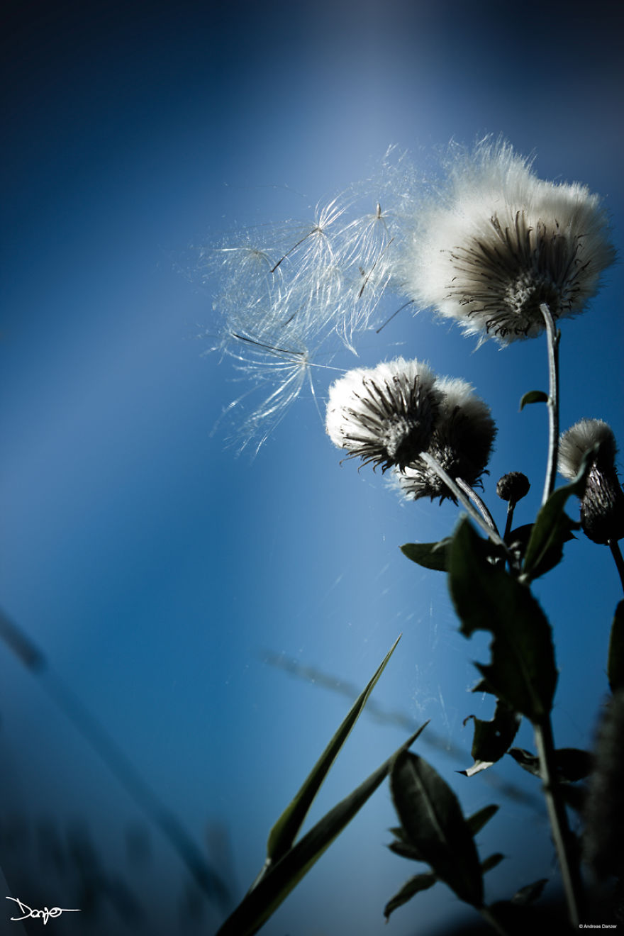 Photography - My Therapy Photography - My Therapy