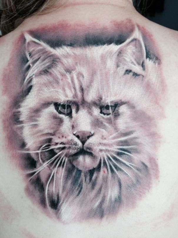 Cat tattoo on back, showcasing a detailed, artistic feline face design.