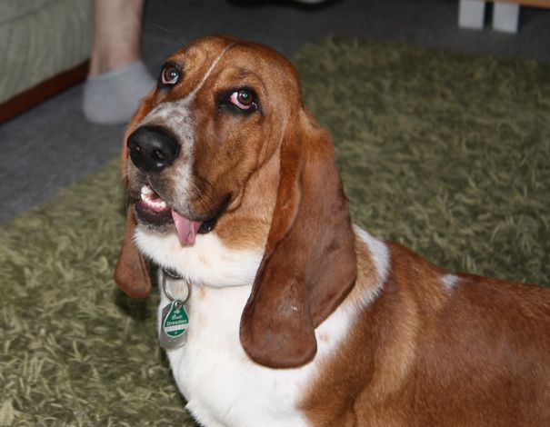 -show Me Your Best Smile! -duh!