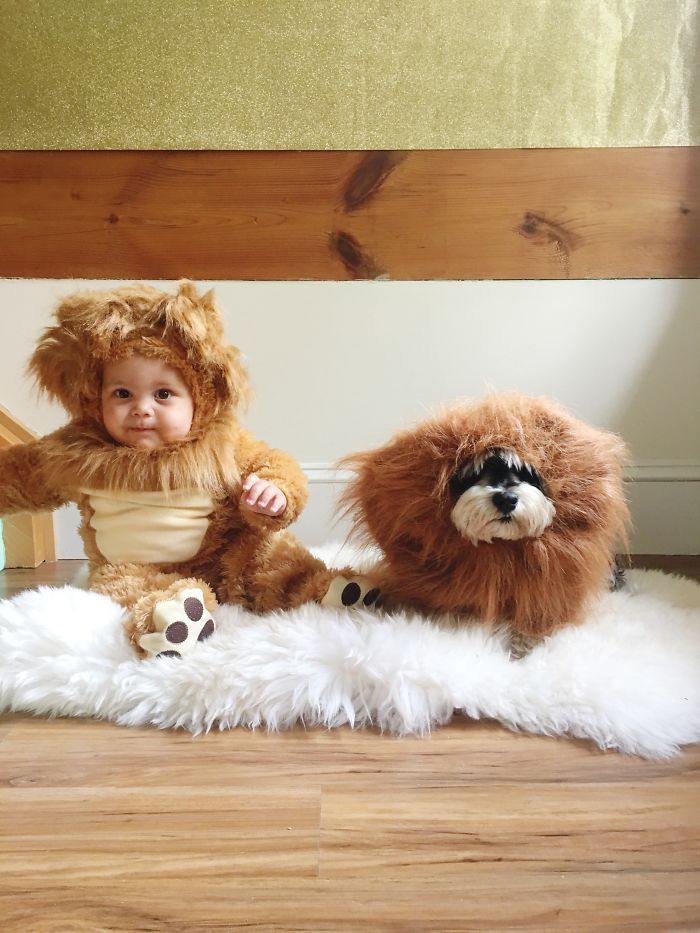 Sweet Fluff Dress Up, Halloween Costumes Of Kids With Their Pets