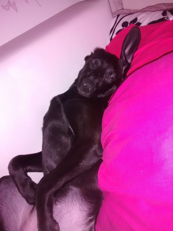 My Derpie Schlörpie Xd