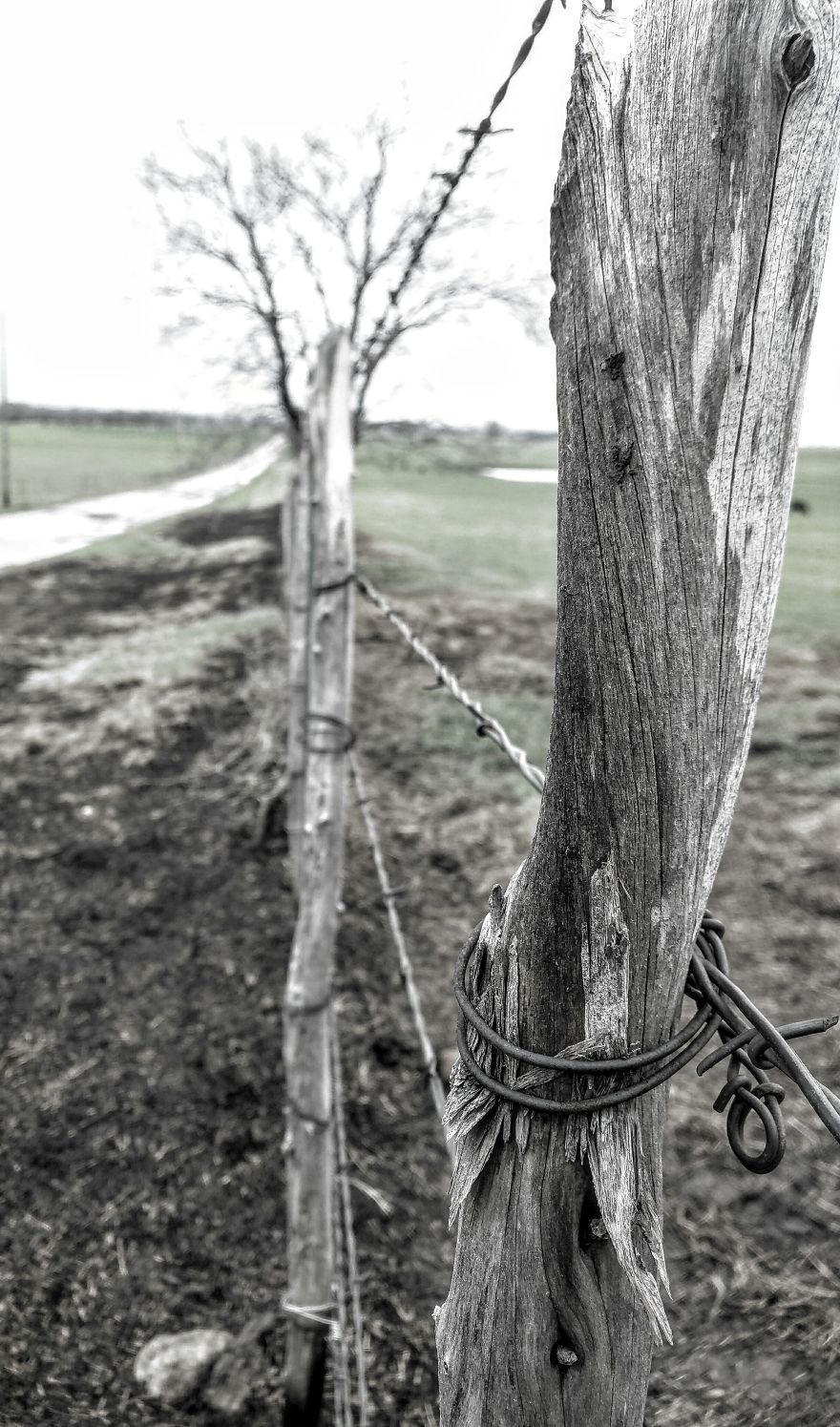 Oklahoma Travels Shots (phone Cam)