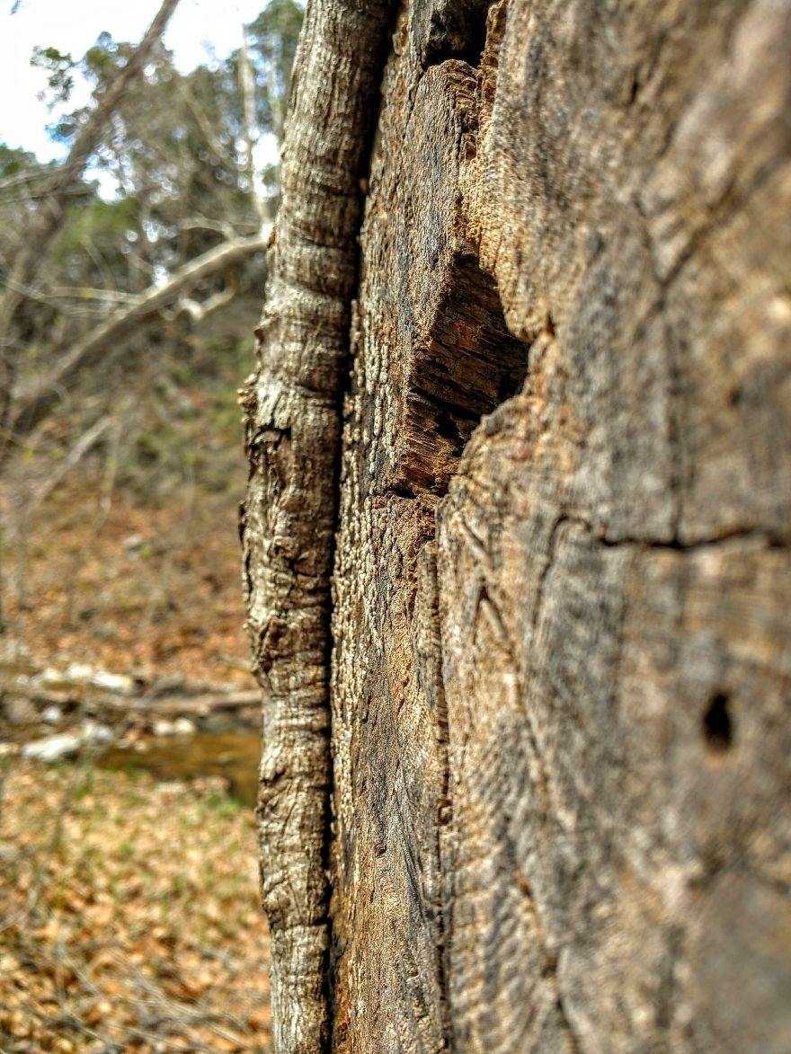 Oklahoma Travels Shots (phone Cam)