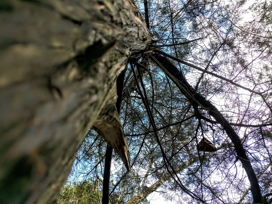 Oklahoma Travels Shots (phone Cam)