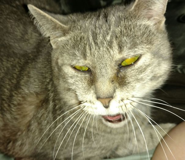 My Dayna Getting Ready To Sneeze