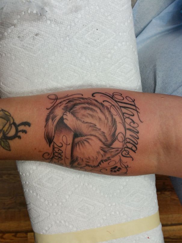 Cat tattoo on forearm featuring a sleeping cat with decorative text and paw prints.