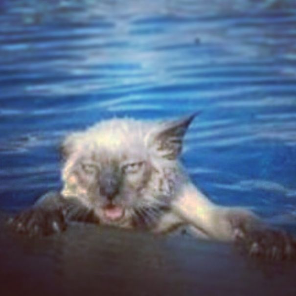 You Said, It's Not Cold!