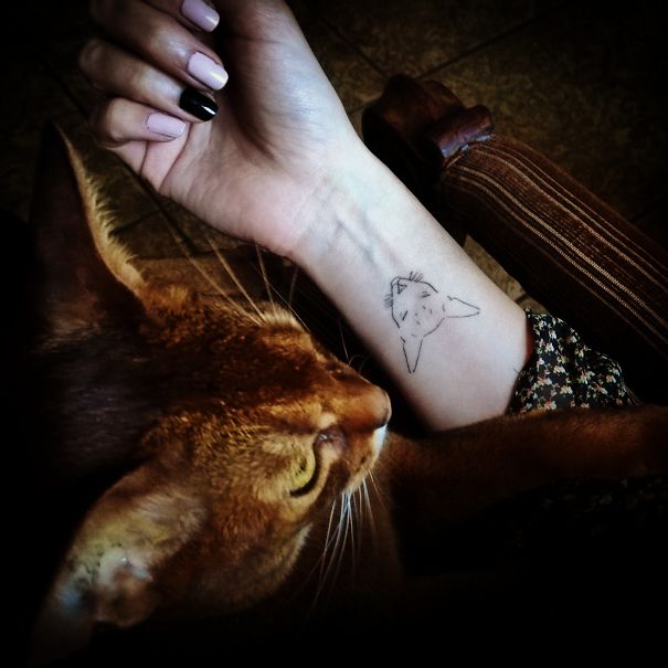 A wrist with a small cat tattoo beside a curious cat, symbolizing cat person identity.