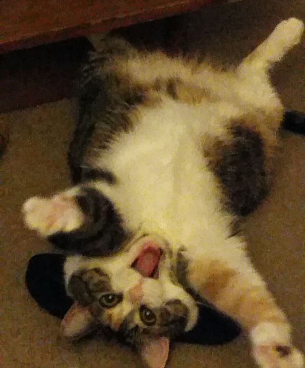 All That Mia Needs Is A Hug