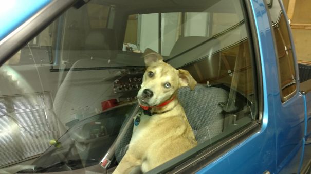 Ready For My Driving Lesson!