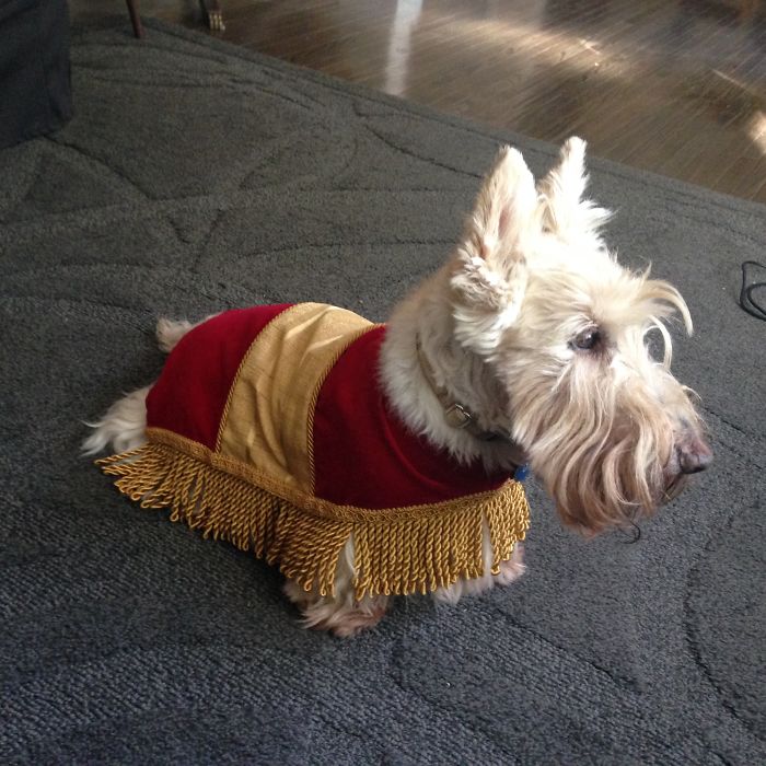 The Footstool From Beauty And The Beast :)