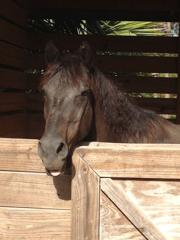 This Is The Face I Get When Dinner Is Late.
